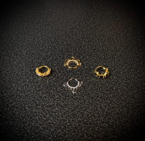 (Verschiedenster) Piercing Schmuck 